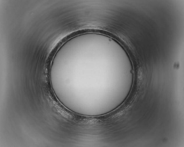X0000115290926200911161630