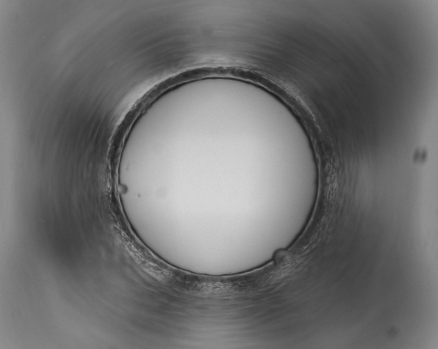 X0000115290927200911161630