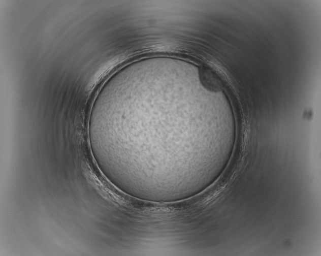 X0000115290930200911161630