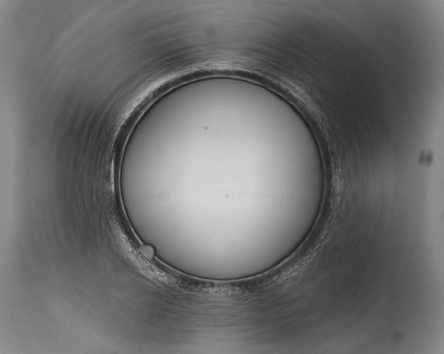 X0000115290934200911161631