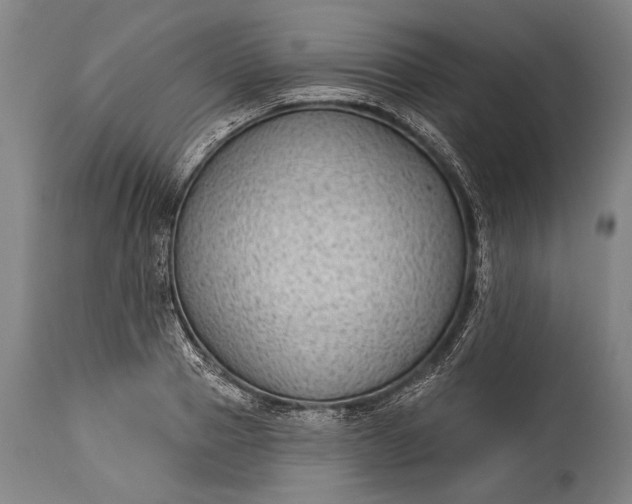 X0000115290937200911161631