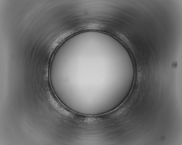 X0000115290938200911161631