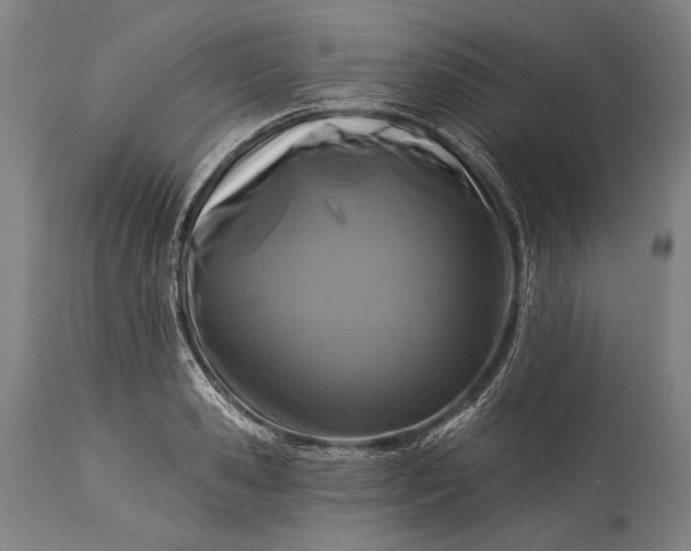 X0000115290941200911161631