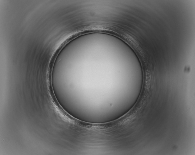 X0000115290942200911161631