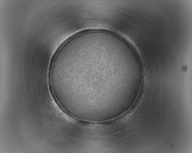 X0000115290943200911161631