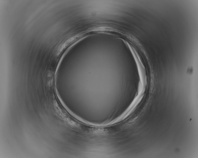 X0000115290945200911161631