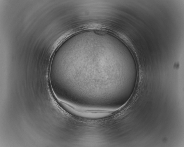 X0000115290946200911161631