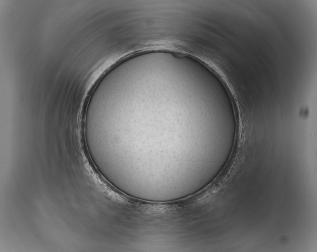 X0000115290949200911161631
