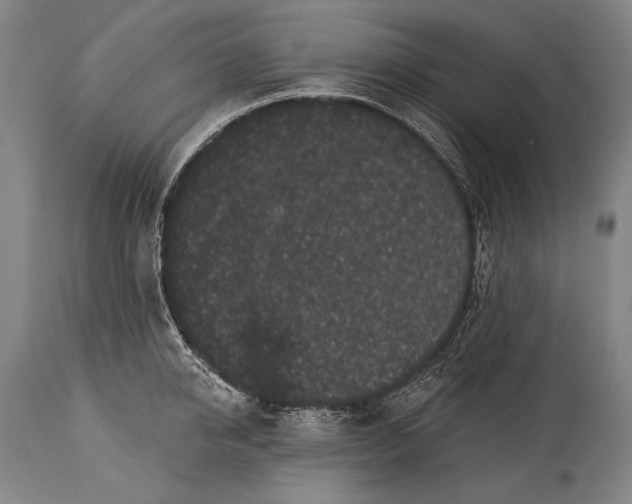 X0000115290950200911161631