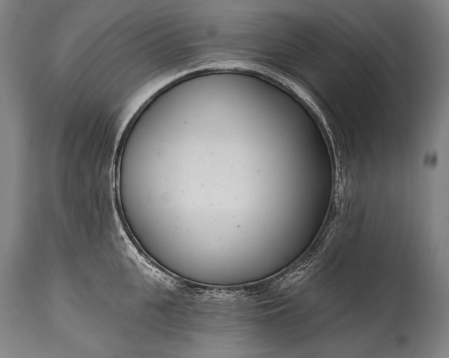 X0000115290951200911161631