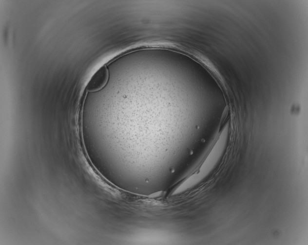X0000115290959200911161631