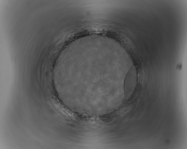 X0000115290961200911161630