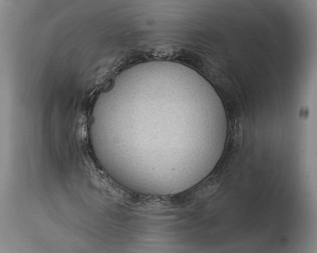 X0000115290962200911161630