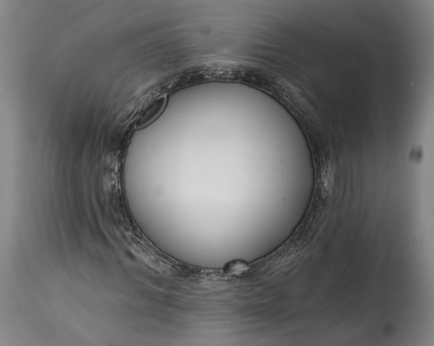 X0000115290964200911161630