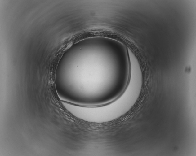 X0000115290965200911161630