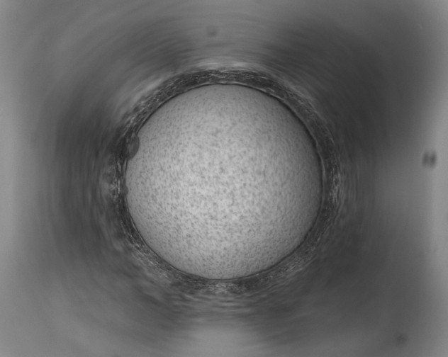 X0000115290966200911161630