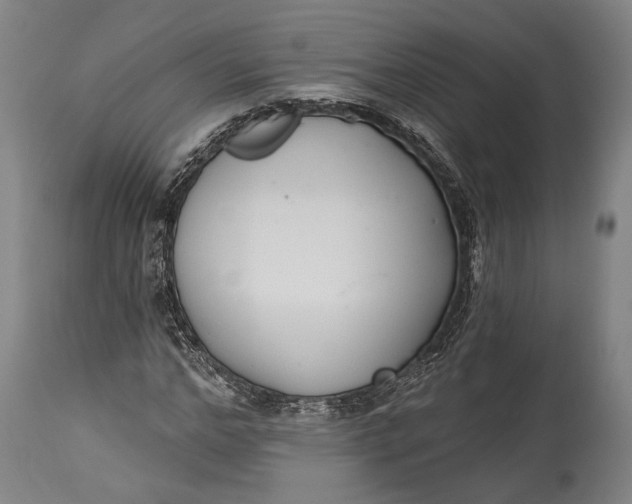 X0000115290968200911161630