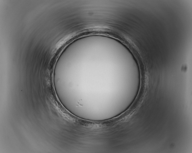 X0000115290970200911161630