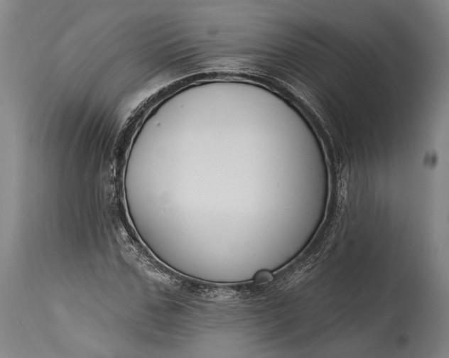 X0000115290971200911161630