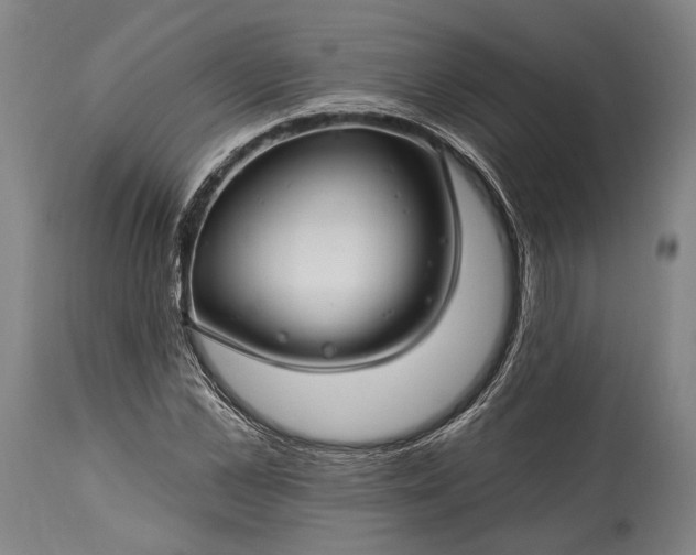 X0000115290973200911161630