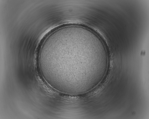X0000115290975200911161630