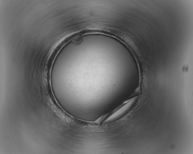 X0000115290976200911161630