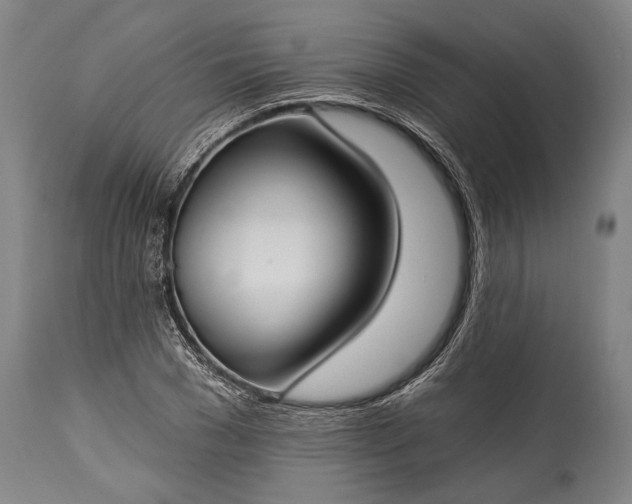 X0000115290977200911161630