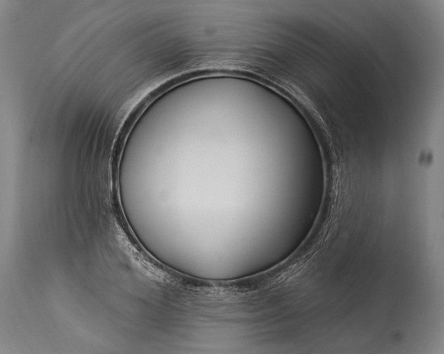 X0000115290980200911161630