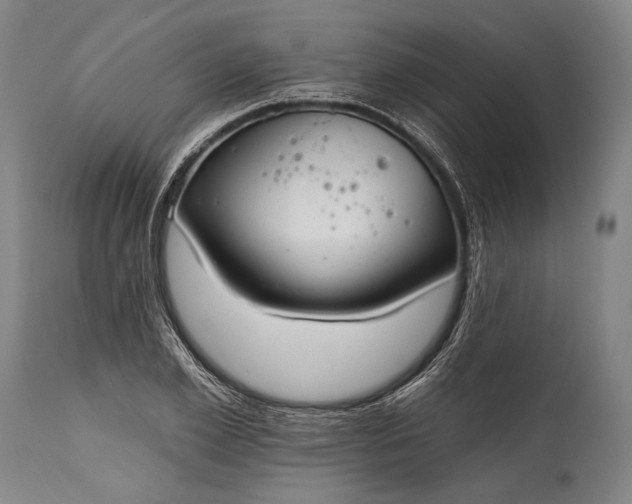 X0000115290981200911161630