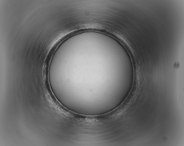 X0000115290983200911161630