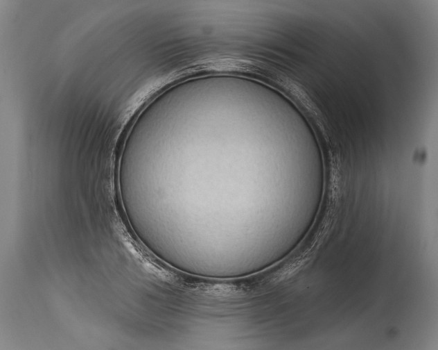 X0000115290986200911161630