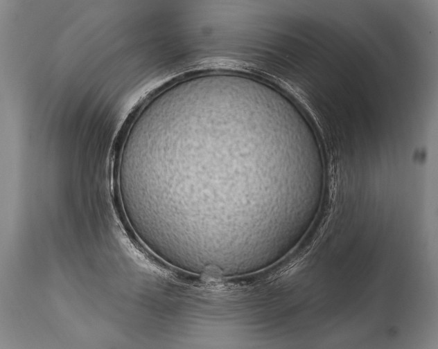 X0000115290987200911161630
