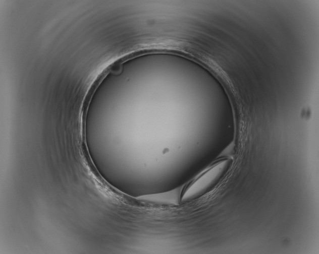 X0000115290988200911161630