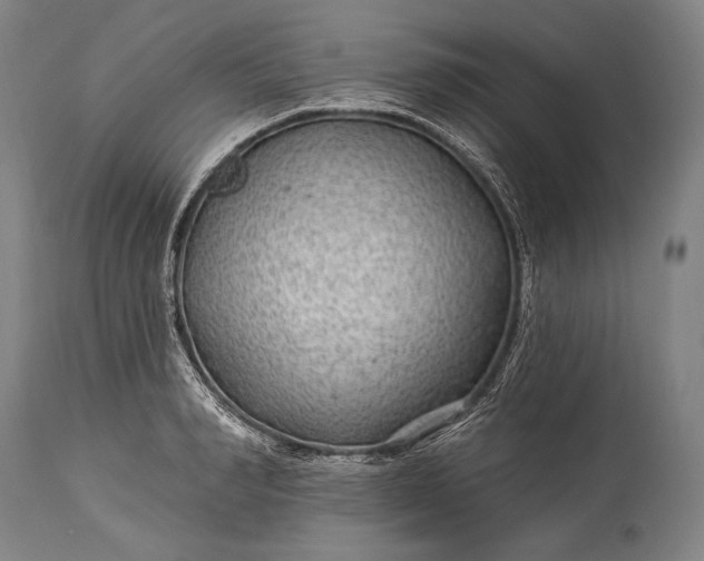 X0000115290990200911161630