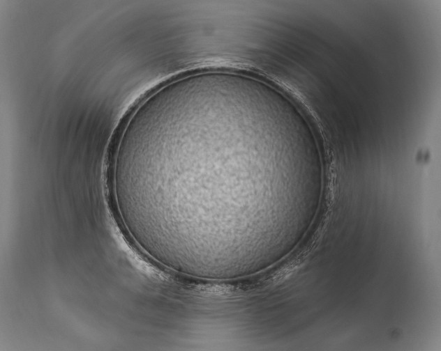 X0000115290991200911161630