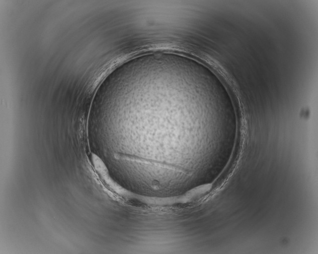 X0000115290993200911161630