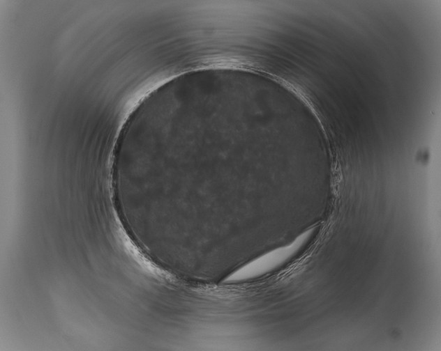X0000115290995200911161630