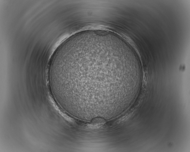 X0000115290997200911161630