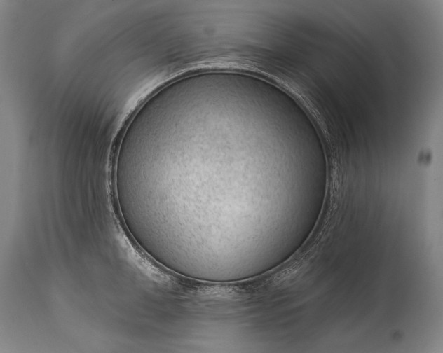 X0000115290998200911161630