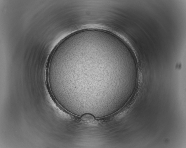 X0000115290999200911161630