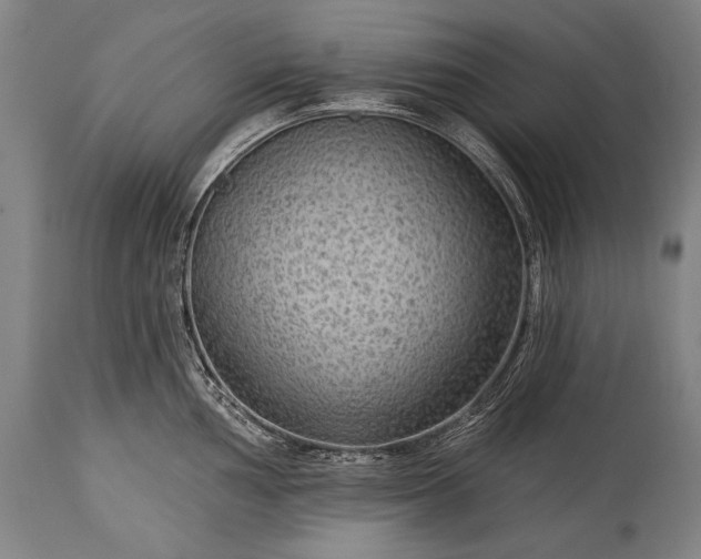 X0000115291002200911161630