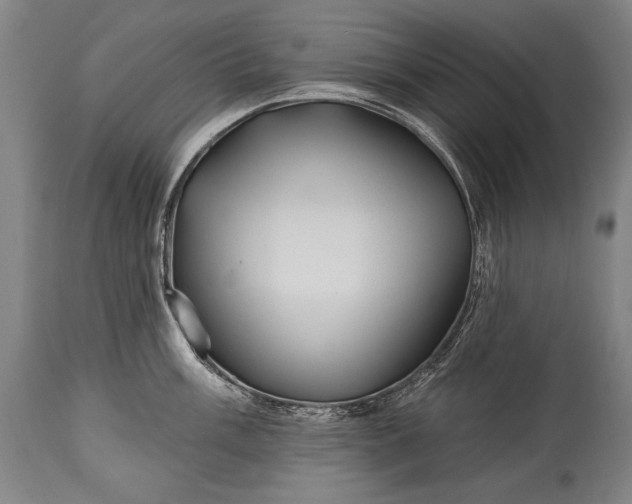X0000115291003200911161629