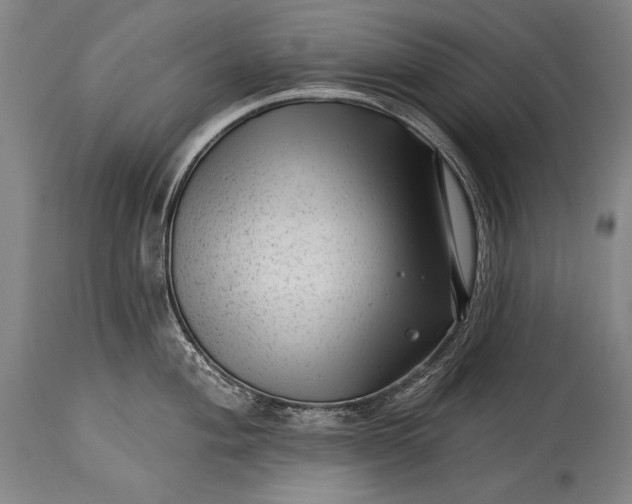 X0000115291004200911161629