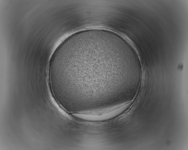 X0000115291005200911161629