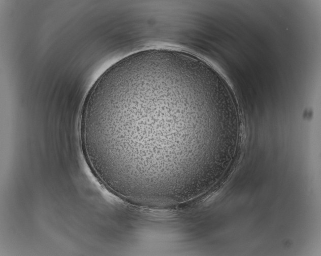 X0000115291007200911161629