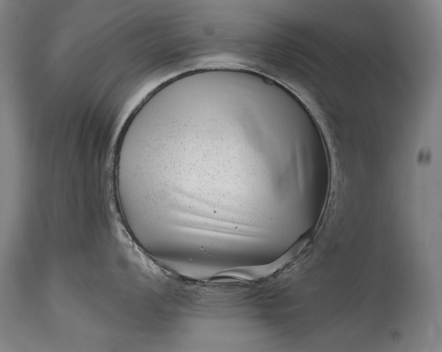 X0000115291008200911161629