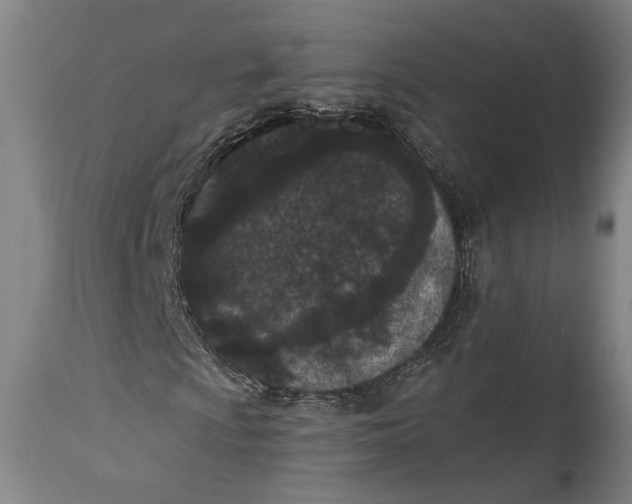 X0000115291009200911161629