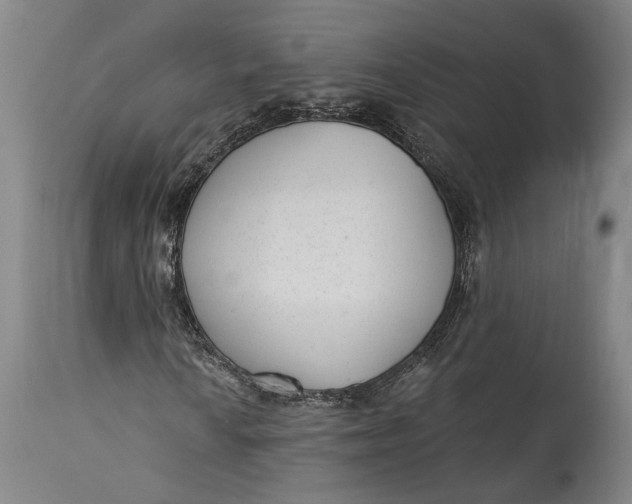 X0000115291010200911161629