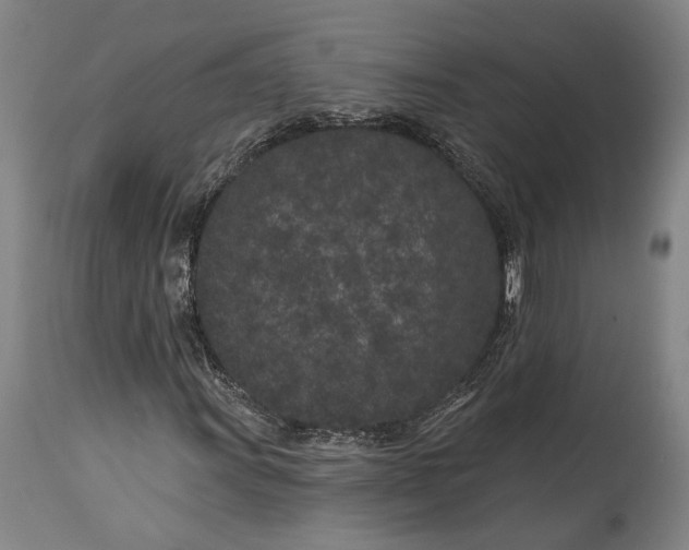 X0000115291011200911161629