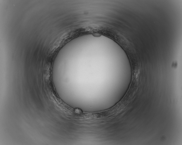 X0000115291012200911161629